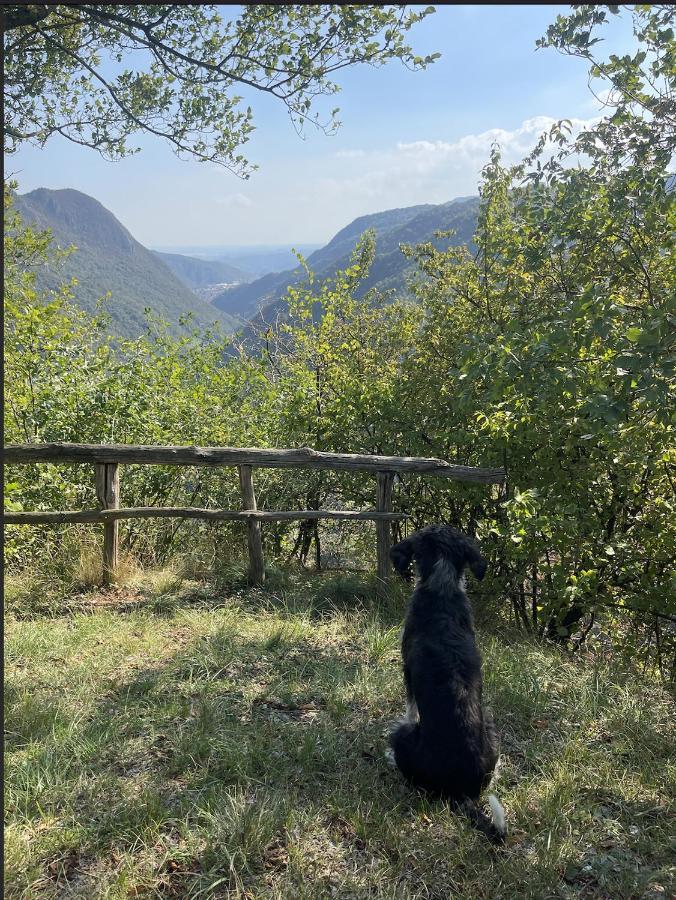Loggia Daire Vobarno Dış mekan fotoğraf